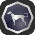 Sighthound Video