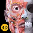 Anatomy 3D Atlas for Windows